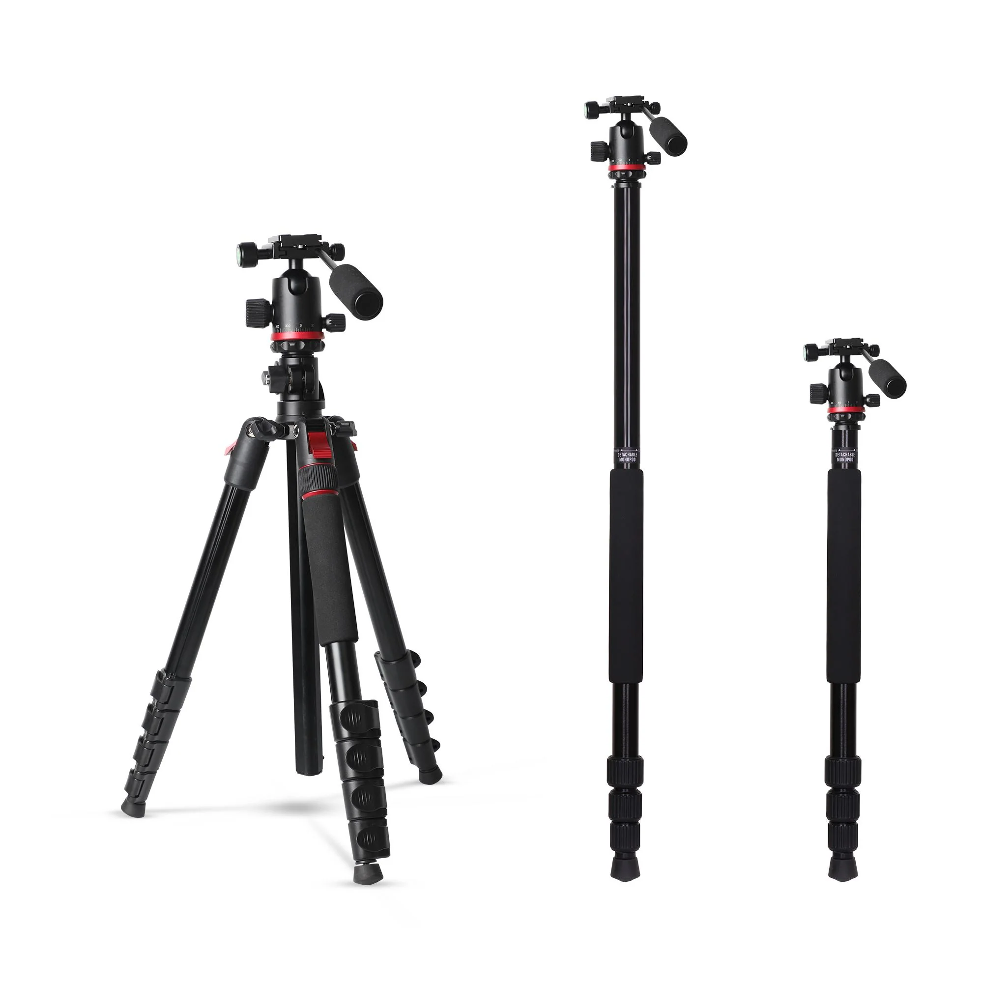 New Launches