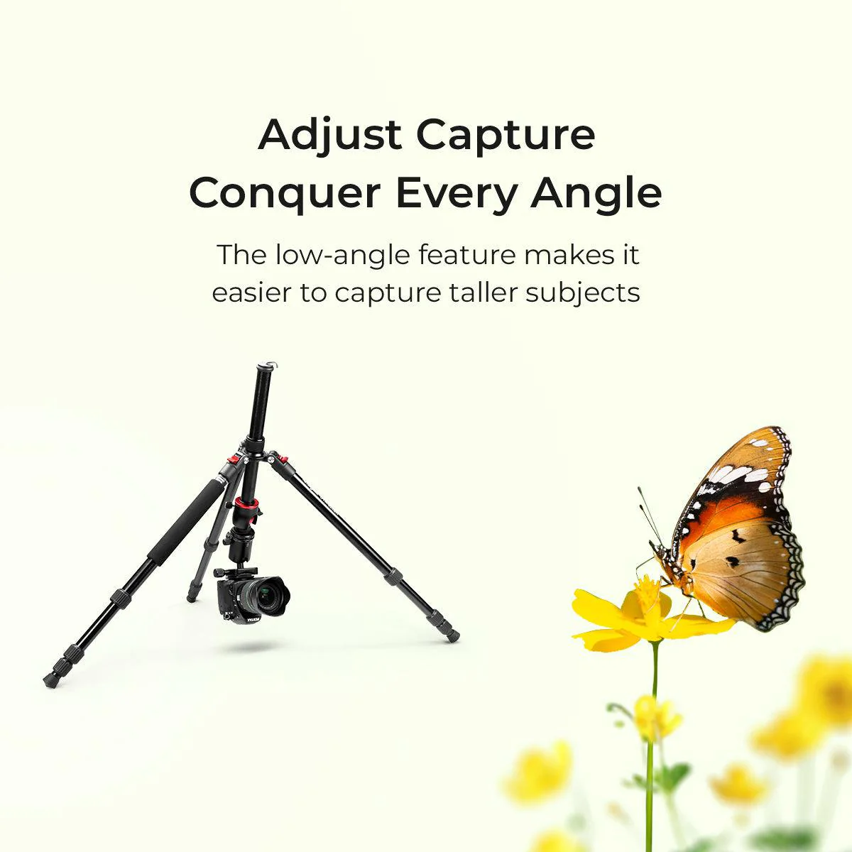 DIGITEK® (DTR 520 BH) 152CM Foldable Aluminum Tripod Cum Monopod with Swivel Pan Head, 4 Section Adjustment, 7kg Max Load, Max Operating Height: 4.95Ft, Compatible with DSLR Camera, Dv Video Camcorder - Image 5