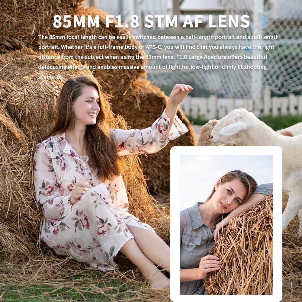 VILTROX 85mm F1.8 STM Autofocus Lens Wide Compatible with Nikon Z-Mount Z5/Z6/Z7/Z6 II - Image 6